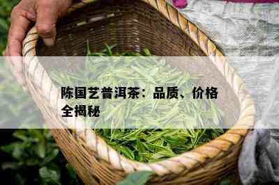 陈国艺普洱茶：品质、价格全揭秘