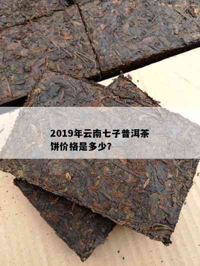 2019年云南七子普洱茶饼价格是多少？