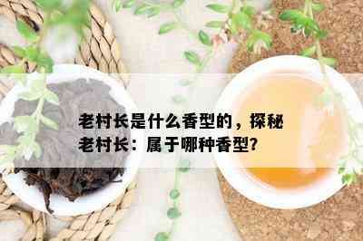 老村长是什么香型的，探秘老村长：属于哪种香型？