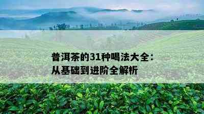 普洱茶的31种喝法大全：从基础到进阶全解析