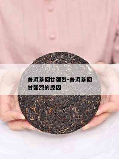 普洱茶回甘强烈-普洱茶回甘强烈的起因