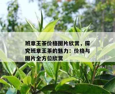 班章王茶价格图片欣赏，探究班章王茶的魅力：价格与图片全方位欣赏