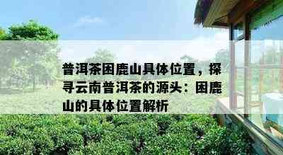 普洱茶困鹿山具 *** 置，探寻云南普洱茶的源头：困鹿山的具 *** 置解析