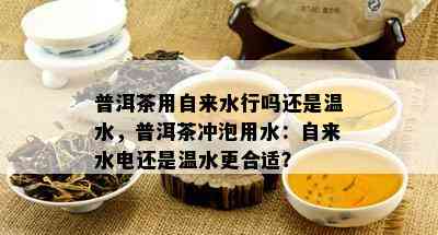 普洱茶用自来水行吗还是温水，普洱茶冲泡用水：自来水电还是温水更合适？