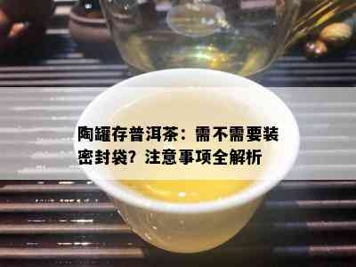 陶罐存普洱茶：需不需要装密封袋？注意事项全解析