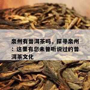 泉州有普洱茶吗，探寻泉州：这里有您未曾听说过的普洱茶文化