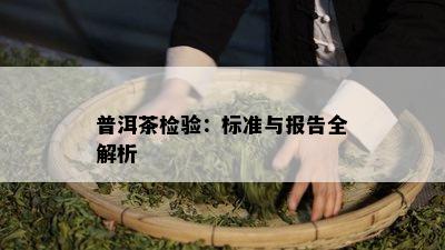 普洱茶检验：标准与报告全解析