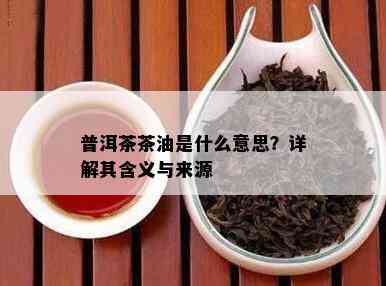 普洱茶茶油是什么意思？详解其含义与来源