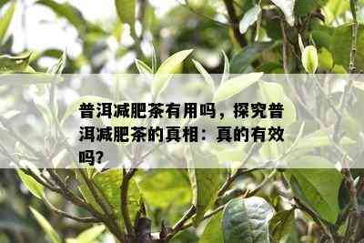 普洱减肥茶有用吗，探究普洱减肥茶的真相：真的有效吗？