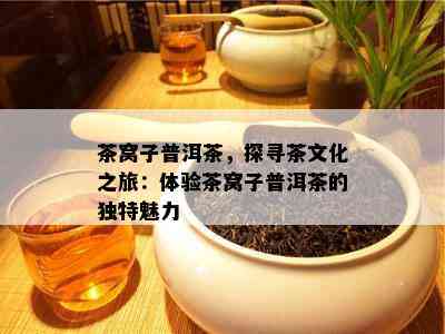 茶窝子普洱茶，探寻茶文化之旅：体验茶窝子普洱茶的独特魅力