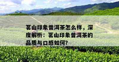 茗山印象普洱茶怎么样，深度解析：茗山印象普洱茶的品质与口感如何？