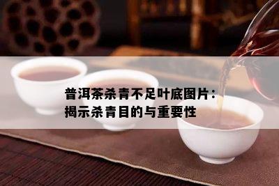 普洱茶杀青不足叶底图片：揭示杀青目的与关键性