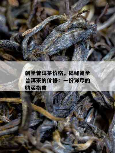 朝圣普洱茶价格，揭秘朝圣普洱茶的价格：一份详尽的购买指南