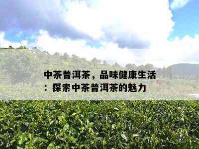 中茶普洱茶，品味健康生活：探索中茶普洱茶的魅力