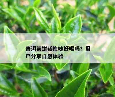 普洱茶饼话梅味好喝吗？客户分享口感体验