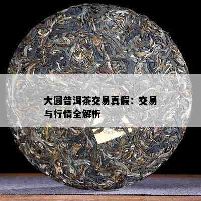 大圆普洱茶交易真假：交易与行情全解析