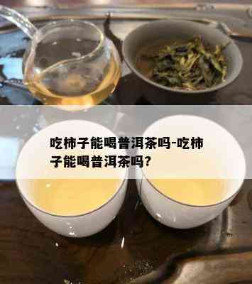 吃柿子能喝普洱茶吗-吃柿子能喝普洱茶吗?