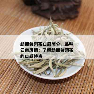 勐库普洱茶口感简介，品味云南风情：了解勐库普洱茶的口感特点