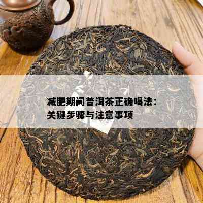 减肥期间普洱茶正确喝法：关键步骤与注意事项