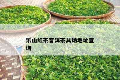 乐山红茶普洱茶具场地址查询