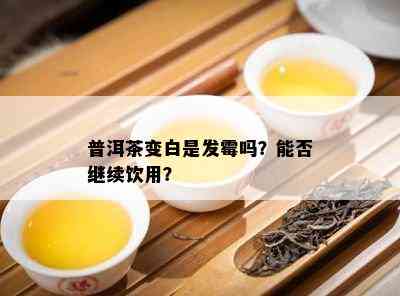 普洱茶变白是发霉吗？能否继续饮用？