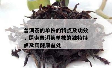 普洱茶的单株的特点及功效，探索普洱茶单株的独特特点及其健康益处