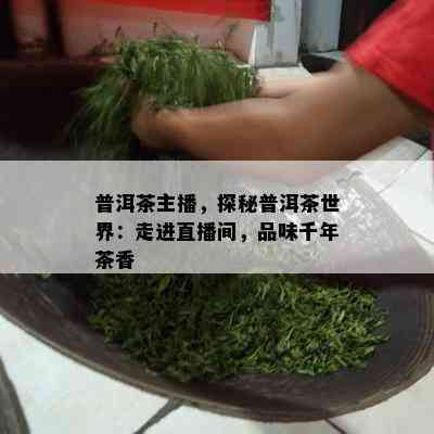 普洱茶主播，探秘普洱茶世界：走进直播间，品味千年茶香