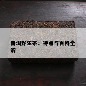 普洱野生茶：特点与百科全解