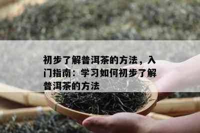 初步熟悉普洱茶的方法，入门指南：学习怎样初步熟悉普洱茶的方法