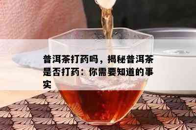 普洱茶打吗，揭秘普洱茶是不是打：你需要知道的事实