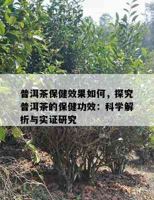 普洱茶保健效果如何，探究普洱茶的保健功效：科学解析与实证研究