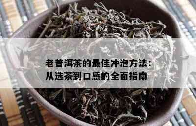 老普洱茶的更佳冲泡方法：从选茶到口感的全面指南