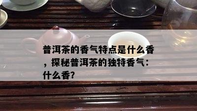 普洱茶的香气特点是什么香，探秘普洱茶的特别香气：什么香？