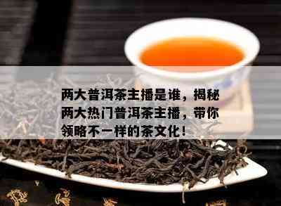 两大普洱茶主播是谁，揭秘两大热门普洱茶主播，带你领略不一样的茶文化！