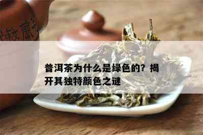 普洱茶为什么是绿色的？揭开其特别颜色之谜