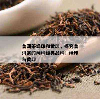 普洱茶绿印和黄印，探究普洱茶的两种经典品种：绿印与黄印