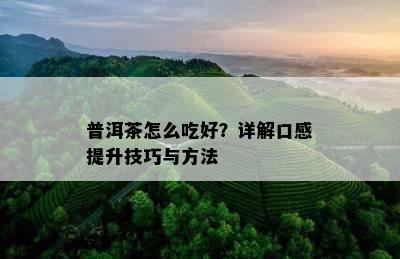 普洱茶怎么吃好？详解口感提升技巧与方法