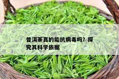 普洱茶真的能抗病吗？探究其科学依据