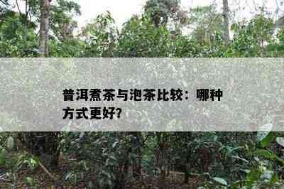 普洱煮茶与泡茶比较：哪种方法更好？