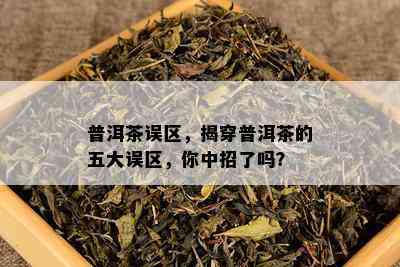 普洱茶误区，揭穿普洱茶的五大误区，你中招了吗？