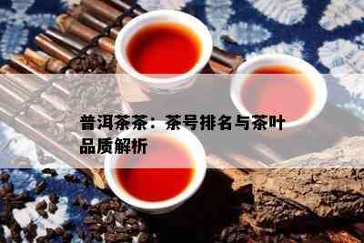 普洱茶茶：茶号排名与茶叶品质解析