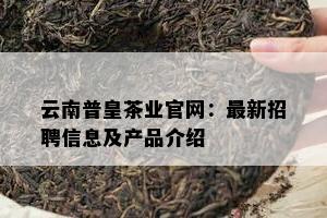 云南普皇茶业官网：最新招聘信息及产品介绍