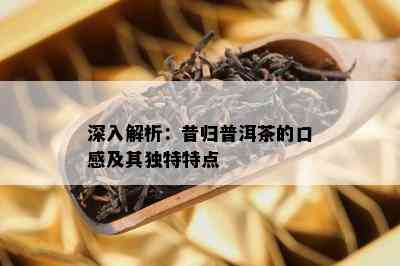 深入解析：昔归普洱茶的口感及其独特特点