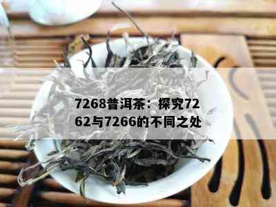 7268普洱茶：探究7262与7266的不同之处