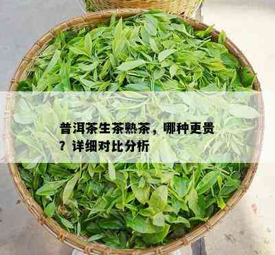 普洱茶生茶熟茶，哪种更贵？详细对比分析