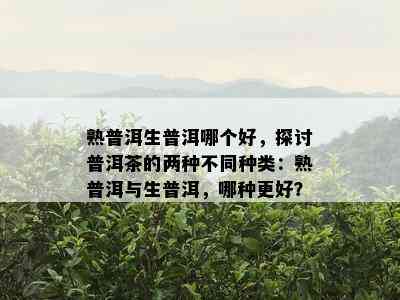 熟普洱生普洱哪个好，探讨普洱茶的两种不同种类：熟普洱与生普洱，哪种更好？