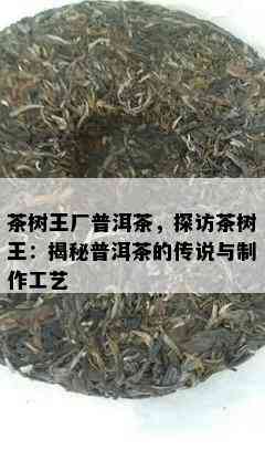 茶树王厂普洱茶，探访茶树王：揭秘普洱茶的传说与制作工艺