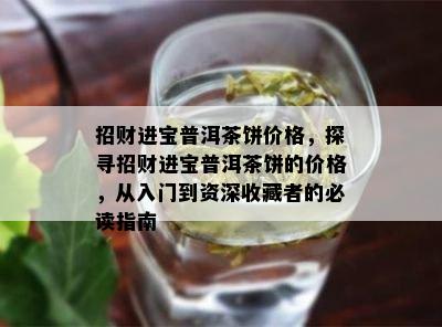 招财进宝普洱茶饼价格，探寻招财进宝普洱茶饼的价格，从入门到资深收藏者的必读指南