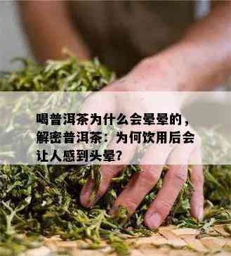 喝普洱茶为什么会晕晕的，解密普洱茶：为何饮用后会让人感到头晕？