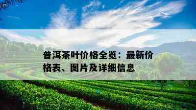 普洱茶叶价格全览：最新价格表、图片及详细信息